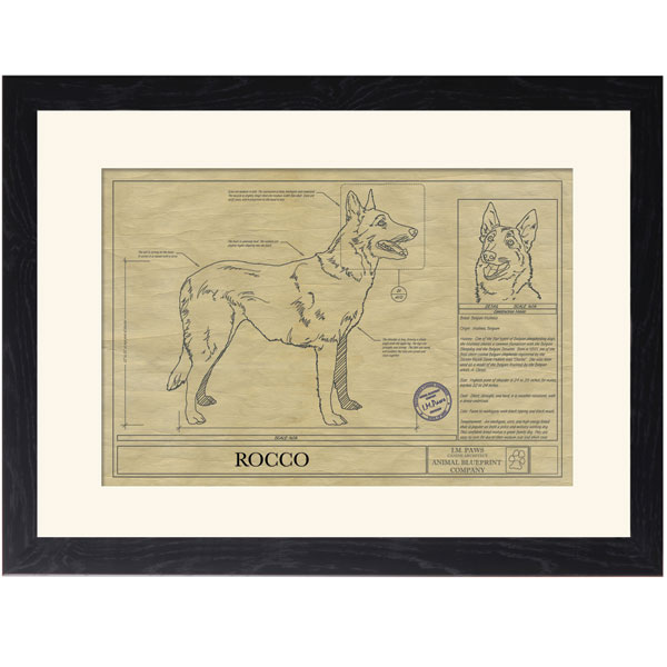 Product image for Personalized Framed Dog Breed Architectural Renderings - Belgian Malinois