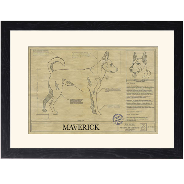 Product image for Personalized Framed Dog Breed Architectural Renderings -Carolina Dog