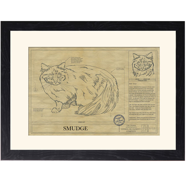 Product image for Personalized Framed Cat Breed Architectural Renderings - Birman