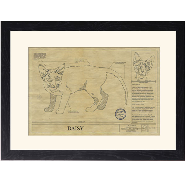 Product image for Personalized Framed Cat Breed Architectural Renderings - Devon Rex