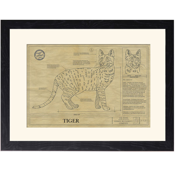 Product image for Personalized Framed Cat Breed Architectural Renderings - Egyptian Mau