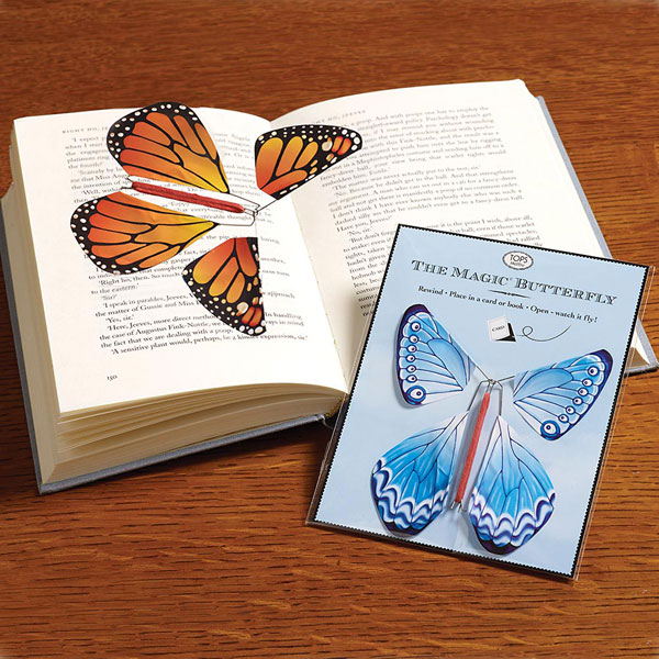 Product image for Magic Butterflies