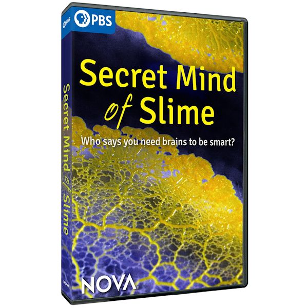 Product image for NOVA: Secret Mind of Slime DVD