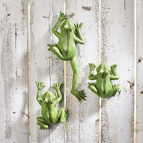 Climbing Frogs Wall Art