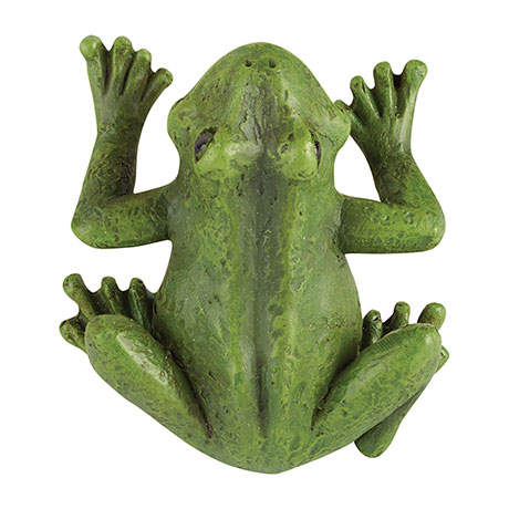 Product image for Climbing Frogs Wall Art