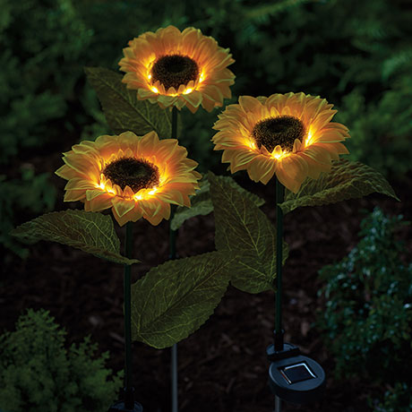 Product image for Solar Sunflower Stakes Set