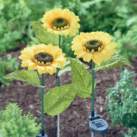 Solar Sunflower Stakes Set