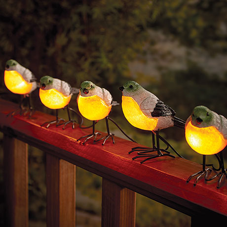 Bird String Lights