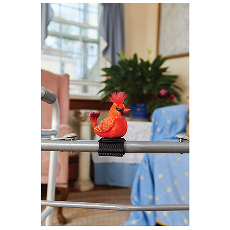 Product image for Companion Bird