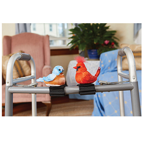 Product image for Companion Bird
