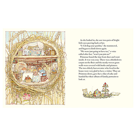 Year in Brambly Hedge Box Set