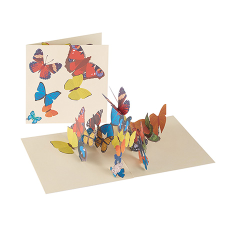 Colorful Butterflies Pop-up Cards - Set of 3