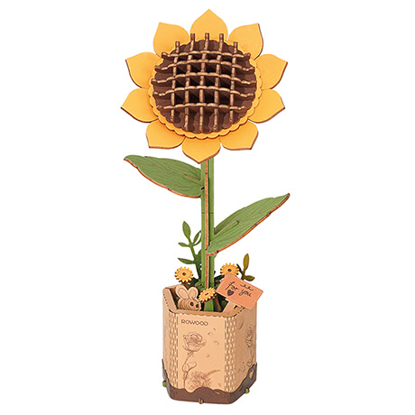 Shop DIY Wooden Flower Kit