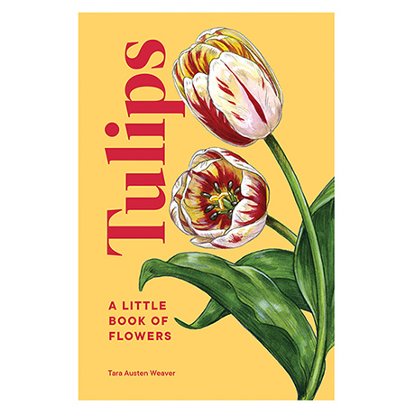 A Little Book of Tulips