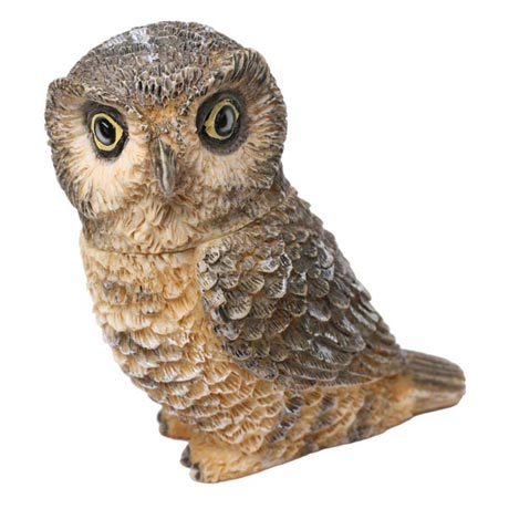 Owl Pot Bellys&reg; Boxes - Hawk Owl