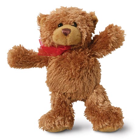 A Christmas Bear Personalized Book And Bear