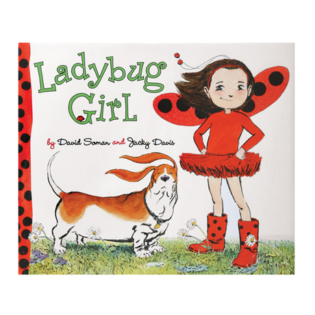 Product image for Ladybug Girl Book