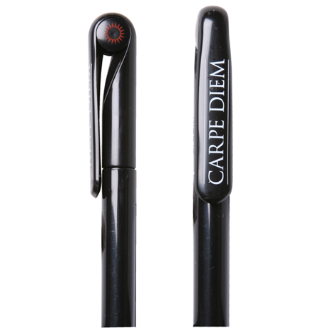 Product image for Seven Year Pen - Carpe Diem