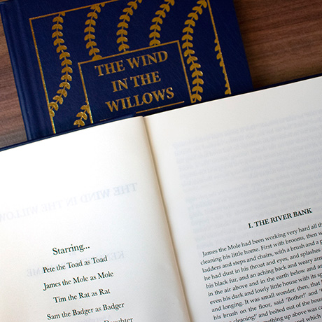Product image for Personalized Literary Classics - The Wind in the Willows