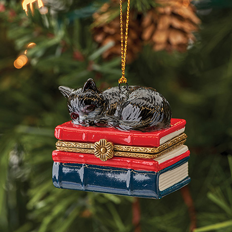 Product image for Porcelain Surprise Ornament - Tuxedo Kitten on Books