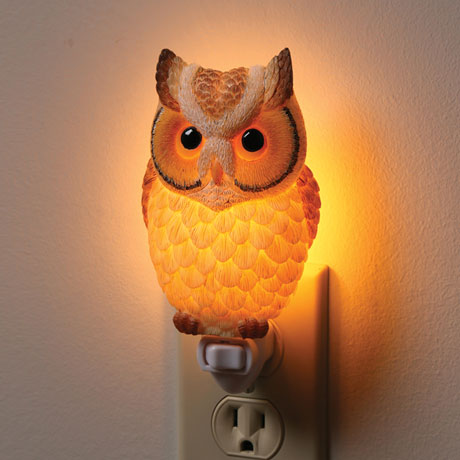 Hoot Owl Nightlight