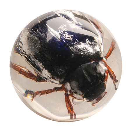 Product image for Instant Insect Collections - 10 marbles