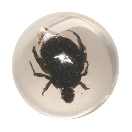 Product image for Instant Insect Collections - 10 marbles