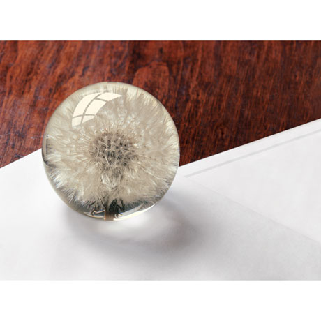 Product image for Dandelion Paperweight