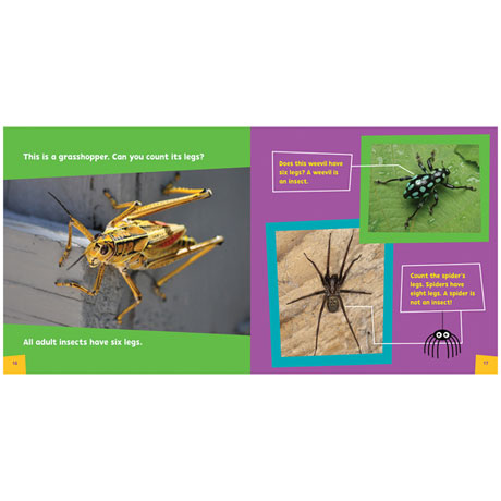 Product image for Look and Learn Insects