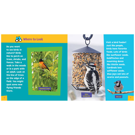 Product image for Look and Learn Birds
