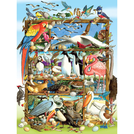 Birds of the World Family 400 piece Jigsaw Puzzle
