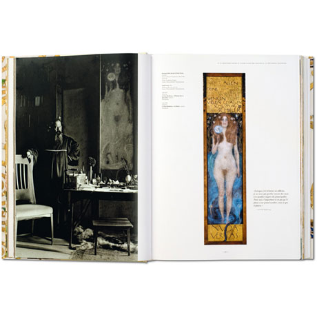Gustav Klimt: The Complete Paintings Book