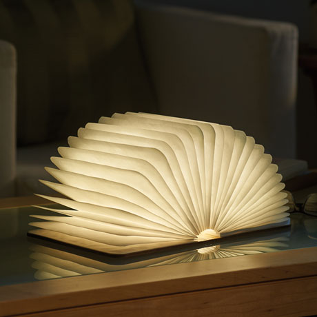 Product image for Folding LED Book Accent Lamp - Maple Wood Cover