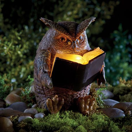 Solar Reading Owl
