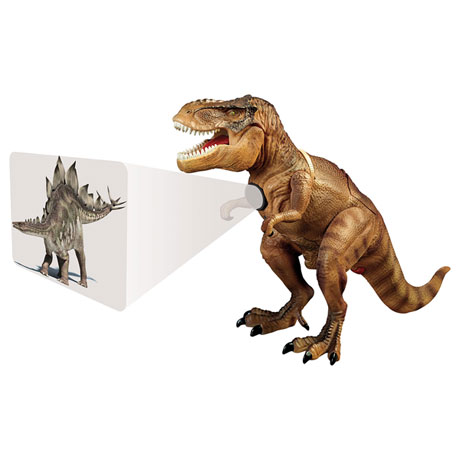 Dinosaur Projector and Room Guard