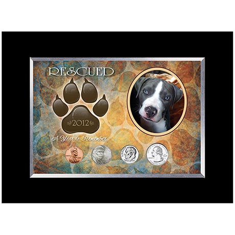 Rescued Year To Remember Dog 4 Coin Frame