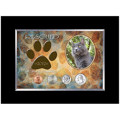 Rescued Year To Remember Cat 4 Coin Frame