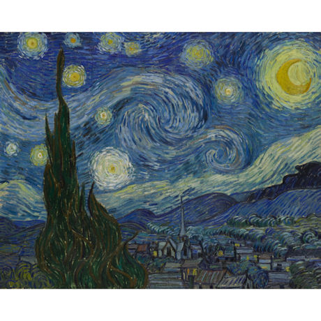 Van Gogh Starry Night Reversible Rain Cape