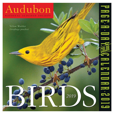 Product image for Audubon Birds 2019 Page-ADay Calendar