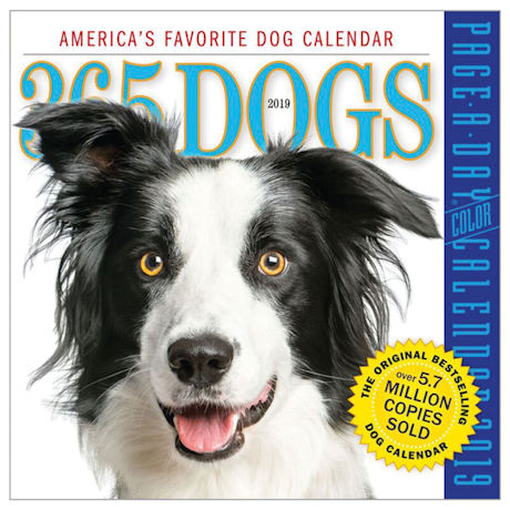 Product image for 365 Dogs 2019 Page-A-Day Calendars