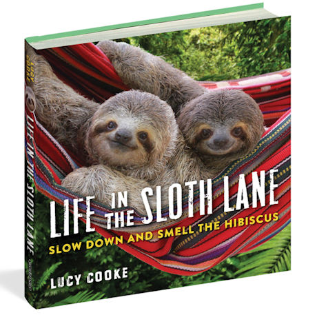 Life in the Sloth Lane 