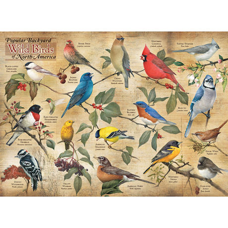 Product image for Popular Backyard Wild Birds of North America 1000 Piece Jigsaw Puzzle