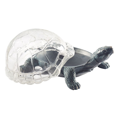 Product image for Turtle Terrarium