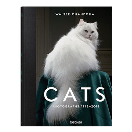 Product image for Walter Chandoha: Cats Book by Walter Chandoha