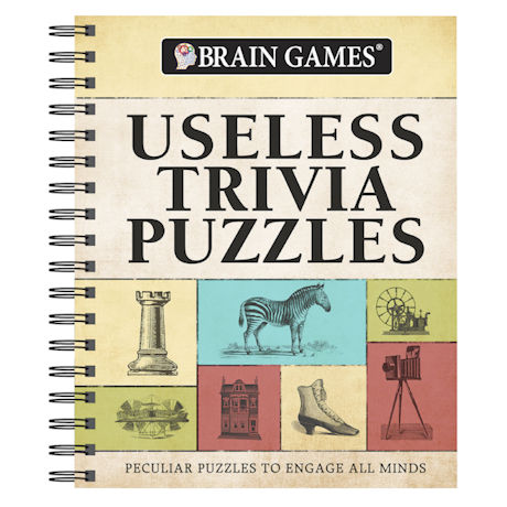 Useless Trivia Puzzles Brain Games Book