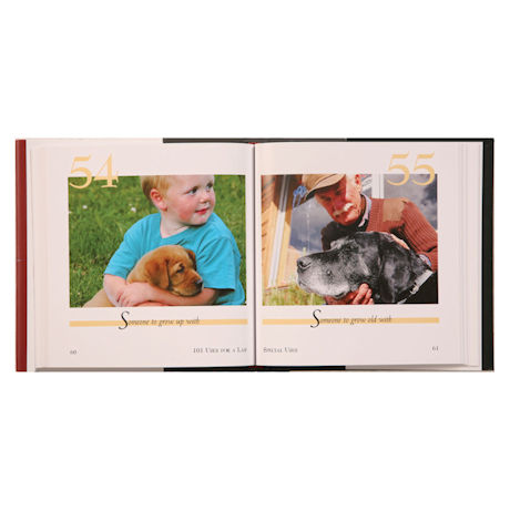 101 Uses For a Dog Book - Lab