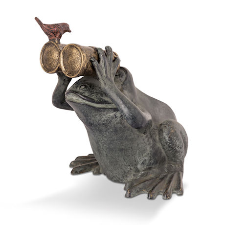 Frog Spectator with Bird Garden Statue