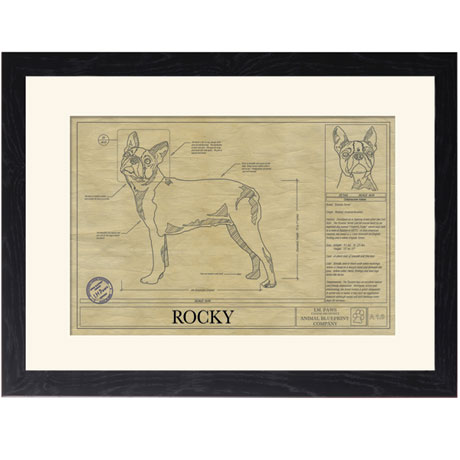 Personalized Framed Dog Breed Architectural Renderings - Boston Terrier