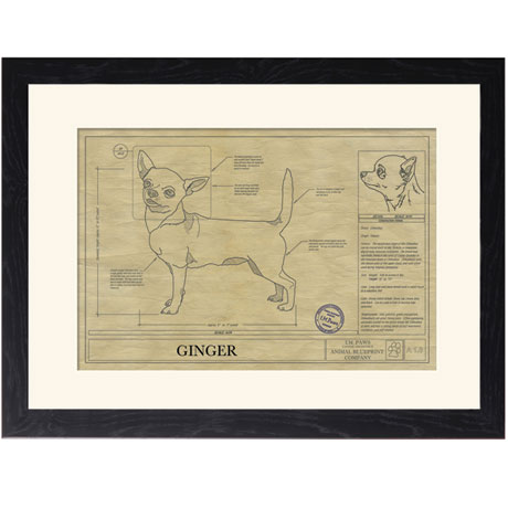 Personalized Framed Dog Breed Architectural Renderings - Chihuahua