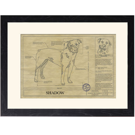 Personalized Framed Dog Breed Architectural Renderings - Rottweiler